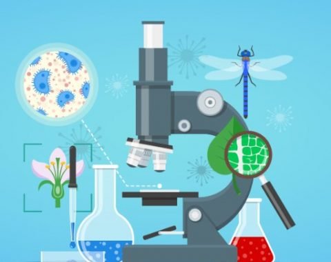 Upisi u srednju skolu pripreme za prijemni biologija