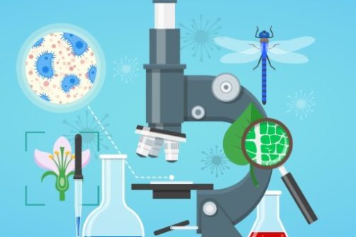 Upisi u srednju skolu biologija Upisi u srednju skolu pripreme za prijemni biologija